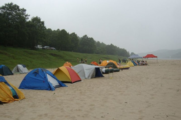 無錫運動網玫瑰