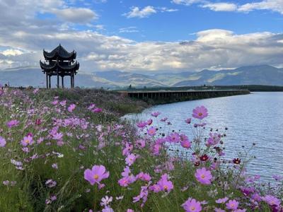 產業 | 首屆鹽源青銅文化與各民族交往交流交融學術研討會召開