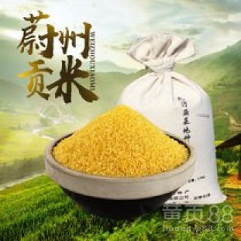 【蔚縣大白谷之鄉貢米特產】-