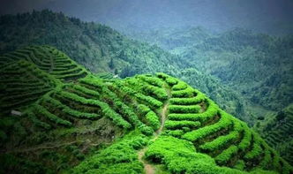 告別人擠人,廣西9條精品旅游路線重磅推薦