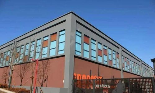 在大連,遇見涂鴉