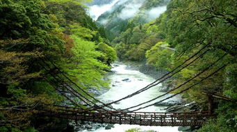 日本德島縣吉野川 祖谷溪親近自然一日游