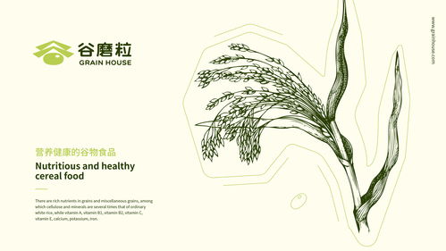 谷磨粒飲品店品牌形象設計 心銘舍 平面 品牌 jomolam zcool