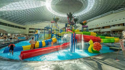 8.8萬元業(yè)主權(quán)益卡 藍谷壹號.臻璽購房臻禮等你來