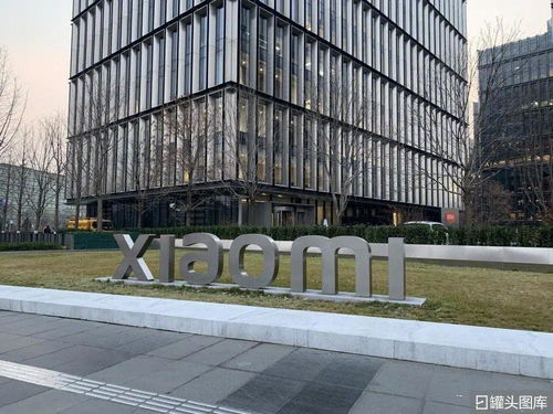 小米在印度,進退維谷