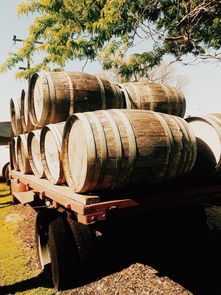 天鵝谷 葡萄酒莊和巧克力工廠的完美結合攻略,天鵝谷 葡萄酒莊和巧克力工廠的完美結合簡介圖片,門票價格,開放時間 無二之旅