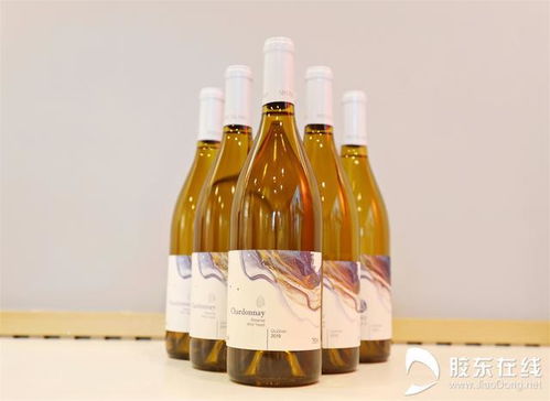 醇香煙臺 微醺世界 仙島酒莊 釀一瓶丘山谷風土的精品酒莊酒