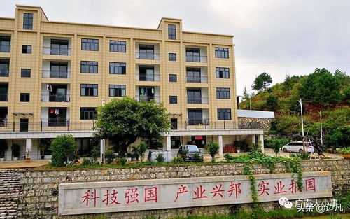 身價不菲的廣南雪花牛 尊貴之選