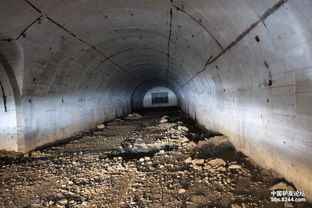 重裝穿越原始森林不為參觀廢棄的兵工廠 看金蓮花,只為尋找老虎和金錢豹蹤跡