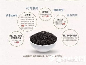 黑谷有機酒 喝出健康的酒