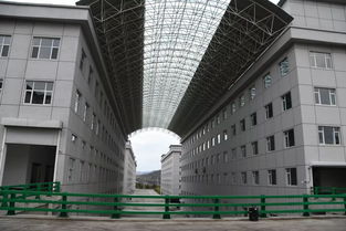 加快項目建設,推動振興發展 我市開展新一輪 三早 項目巡檢