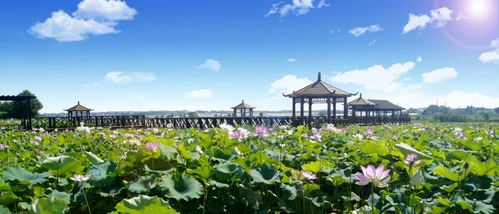 一場詩意般的生活美學, 鎮 向你翩然走來