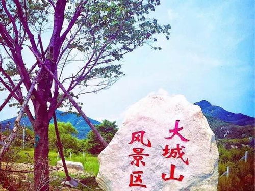 5月19日 丹東部分景區門票免費或半價開放