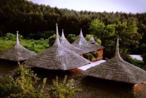 丹東向全國醫護工作者發出邀請,來這22個景點旅游免門票