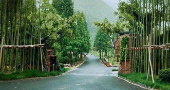 莫干山親泉谷精品民宿 含雙早 莫干山精品民宿度假兩天一晚,親子,團建,朋友聚會