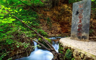 云南金沙谷3日游攻略 旅行達人的私藏秘境