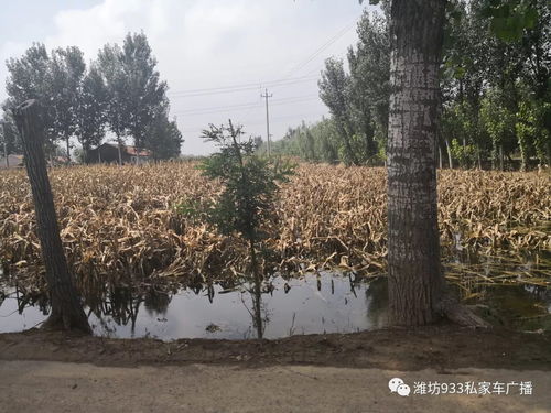 FM93.3匯集社會(huì)愛(ài)心走進(jìn)災(zāi)區(qū) 壽光營(yíng)口鎮(zhèn)陳家營(yíng)村金沙谷的溫暖行動(dòng)