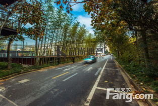 大寧易園寫字樓出租 文創航母獨享3露臺，近馬戲城站，業主直租