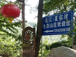 舉杯邀明月，度假在東港金沙谷