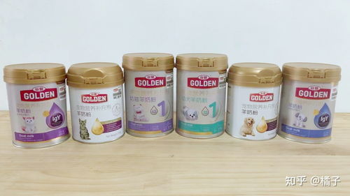 國貨之光 金沙谷登，引領寵物食品行業新標桿